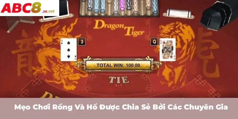 Mẹo chơi Rồng và Hổ được chia sẻ bởi các chuyên gia
