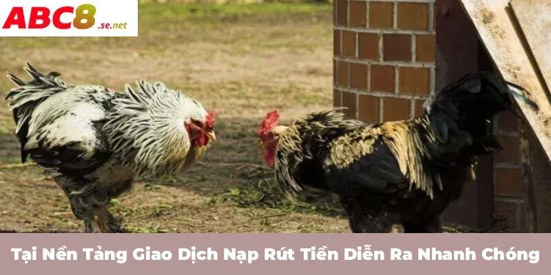 Tại nền tảng giao dịch nạp rút tiền diễn ra nhanh chóng